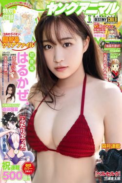破坏之王